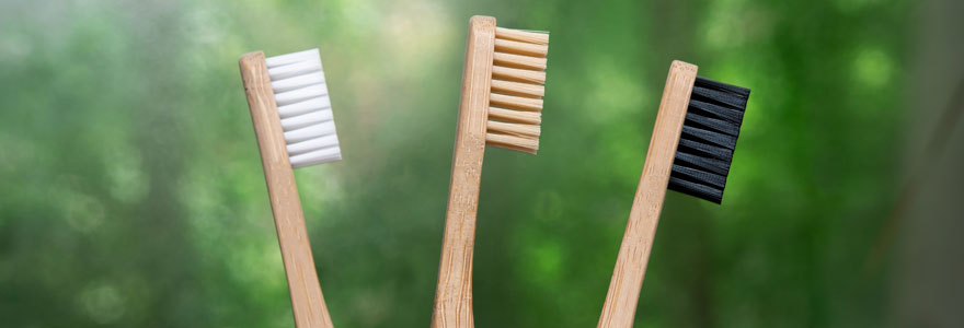 Brosse à dent écologique